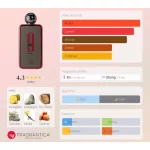 Afnan 9 PM Rebel EDP 100 ml