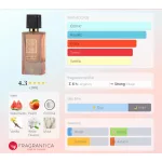 Lattafa Ana Abiyedh Coral 60 ml EDP