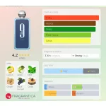 Afnan 9am Dive 100ml EDP