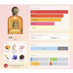 Emir Mango Punch 100ml EDP