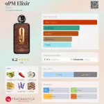 Afnan 9 PM Elixir EDP 100ml