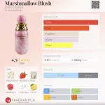 Paris Corner Marshmallow Blush 100ml EDP