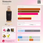 Riiffs Momento 100ml EDP