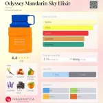 Armaf Odyssey Mandarin Sky Elixir 100ml EDP