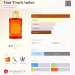 Maison Alhambra Your Touch Amber 100ml EDP