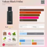 French Avenue Vulcan Black Friday 100ml EDP