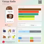 Lattafa Vintage Radio 100ml EDP