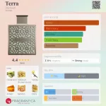 Rayhaan Terra 100ml EDP