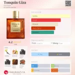 Rayhaan Tonquin Giza 100ml EDP