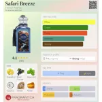 French Avenue Safari Breeze 100ml EDP
