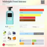 Anfar Midnight Frost Intense 100ml EDP