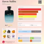 Rasasi Hawas Malibu 100ml EDP