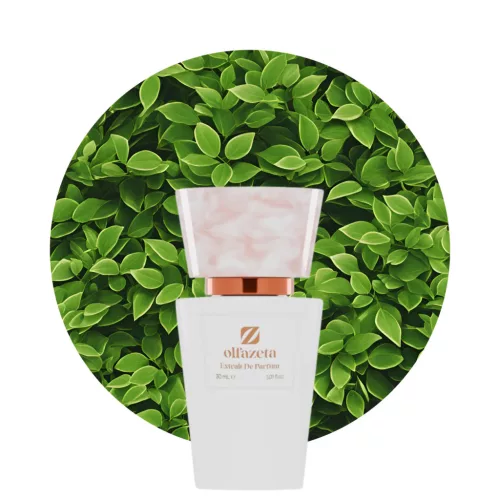 Chogan 3121 30ml Extrait de parfum